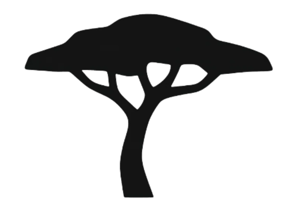 divi5test2.reedhost.site